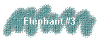 Elephant #3