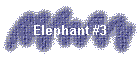Elephant #3