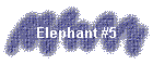 Elephant #5