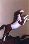 Untamed, the Paint Horse (14659 bytes)