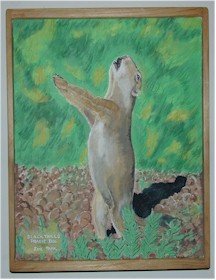 Black-Tailed Prairie Dog acryclic painting