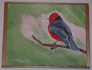 "Vermilion Flycatcher" acryclic painting